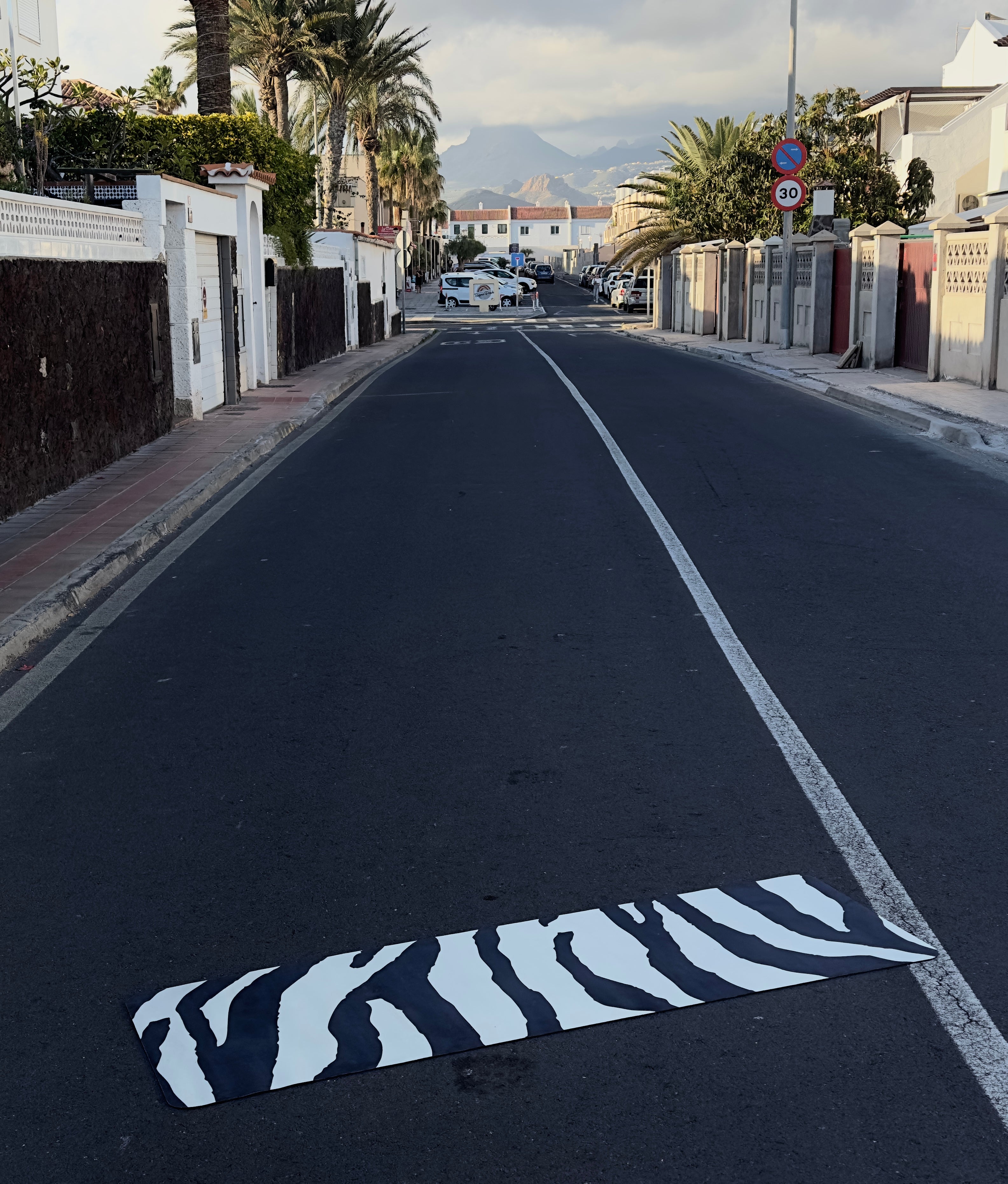 BLACK AND WHITE SAVANNA