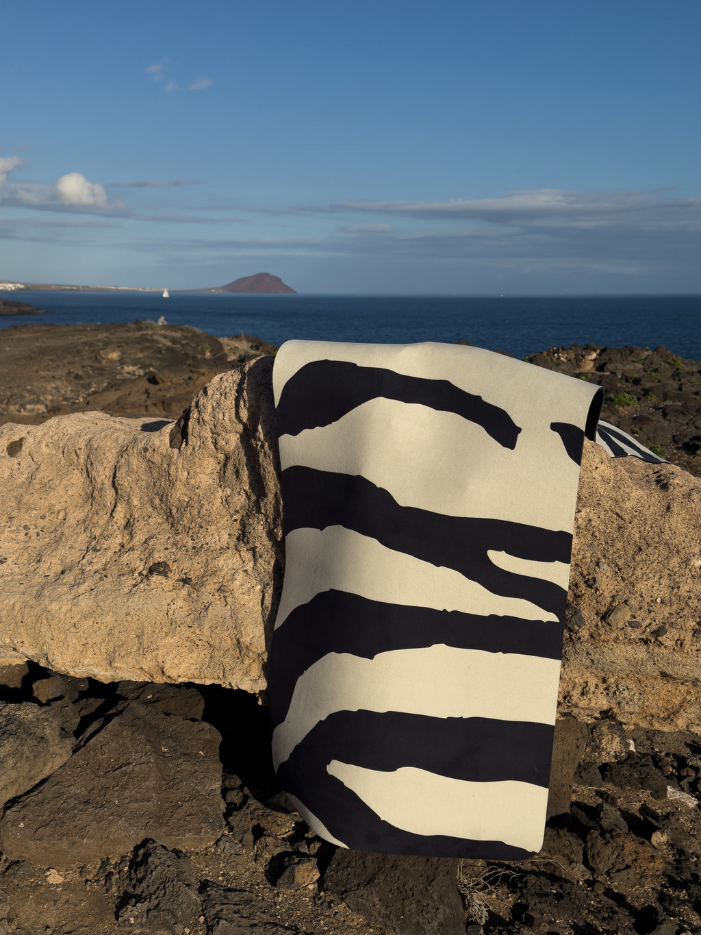 BLACK AND WHITE SAVANNA